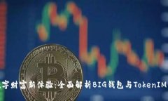 打造数字财富新体验：全面解析BIG钱包与TokenIM的